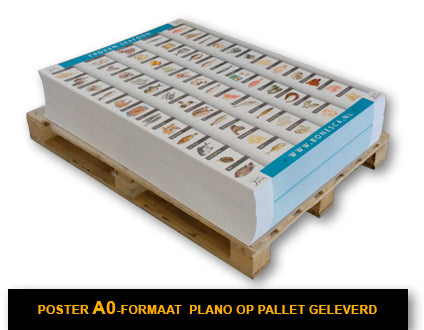 Poster A0 auf Palette geliefert